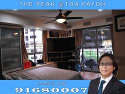 Blk 138B The Peak @ Toa Payoh (Toa Payoh), HDB 5 Rooms #143359442